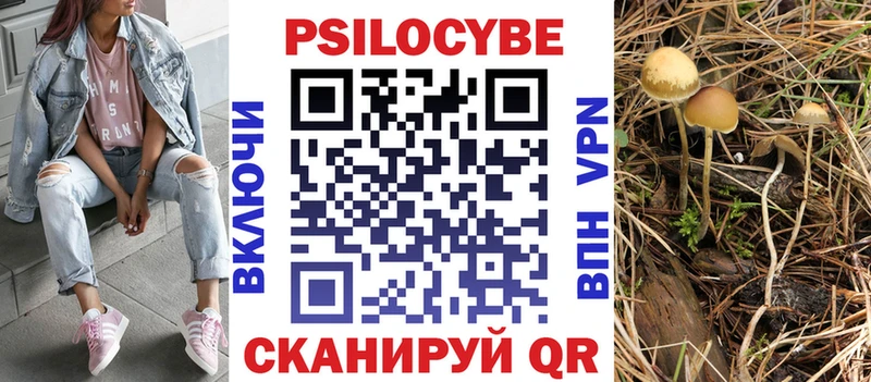 где продают наркотики  Одинцово  Псилоцибиновые грибы мухоморы 